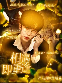 贺峻霖：相遇即重逢