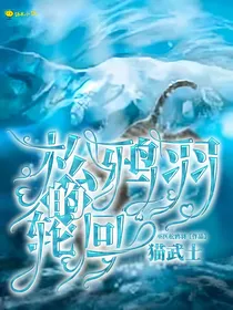 猫武士之松鸦羽的轮回