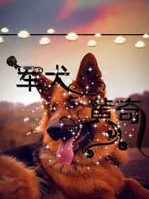 军犬黄奇