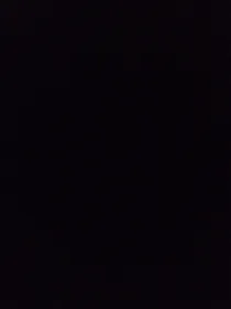 洛入凡尘