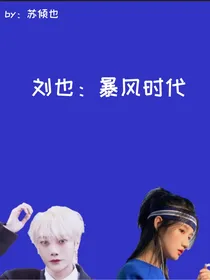 刘也：暴风时代