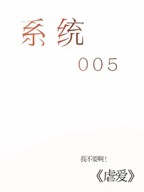 系统005