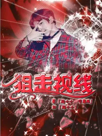网游：狙击视线