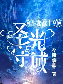 斗龙战士9：圣光守域
