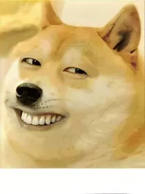 穿书之女配求生史
