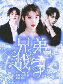 NPC之兄弟战争