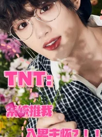 TNT：系统推我入男主怀