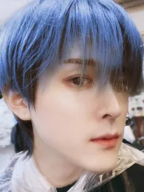 网王德云社：我和我的n个未婚夫