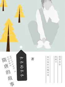 隋唐的故事