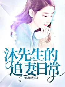 沐先生的追妻日常