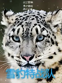 雪豹特战队