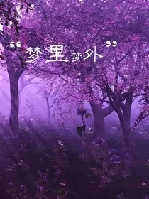 查理九世之梦里梦外？