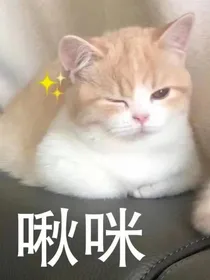 作者与小花仙精灵王们