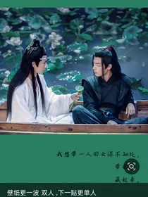 陈情未决之羡归来