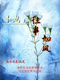 斗龙：往事如风