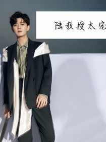 陆教授太宠