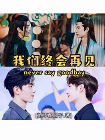 我们终会再见