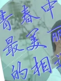 斗龙战士：青春中最美丽的相遇