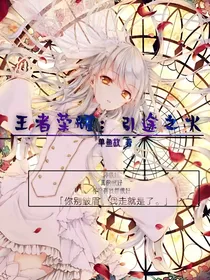 王者荣耀：引途之火