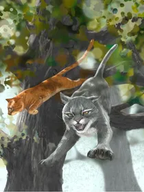当猫武士遇上笑猫日记