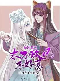 颜冰恋之太子狐妃不好惹