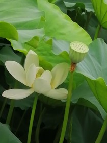 当天