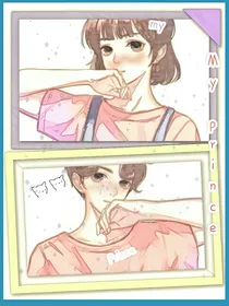 我的princr