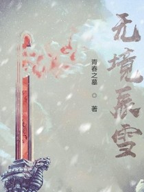 无境辰雪