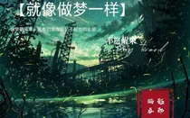 就像做梦一样