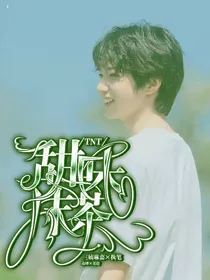 TNT：甜味抹茶