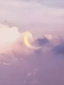 —月亮忘记了—