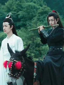 陈情令十憾