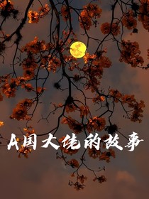 A国大佬的故事
