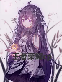 王者荣耀cp……杂文