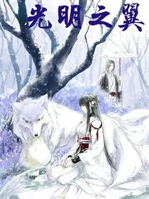 光明之翼
