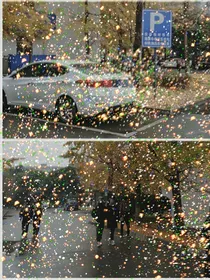 心动不止不于此而止于你