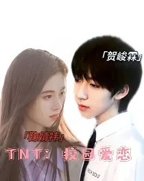 TNT：校园爱恋——d539