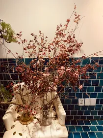 综影视：独角戏
