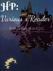 HP：VariousxReader