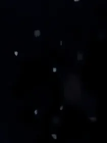 边伯贤：静待花开