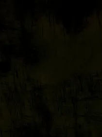 TNT：姐姐心动吗？