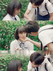 陆少的婚前（后）小娇妻