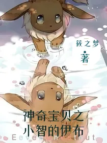 神奇宝贝之小智的伊布