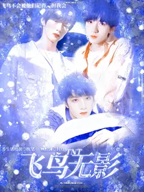TNT：飞鸟无影