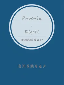 斐尼桑，迪戈里