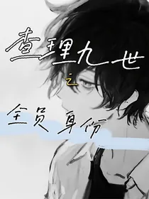 查理九世之全员身份