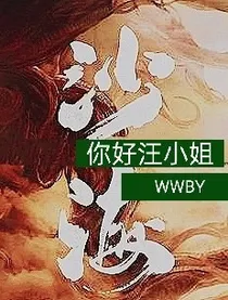 沙海：你好汪小姐