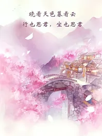 查理九世之王牌归来