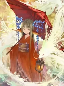 韶华武流年