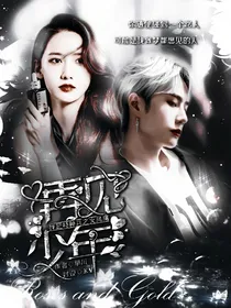 我是特种兵之火凤凰：再见少年